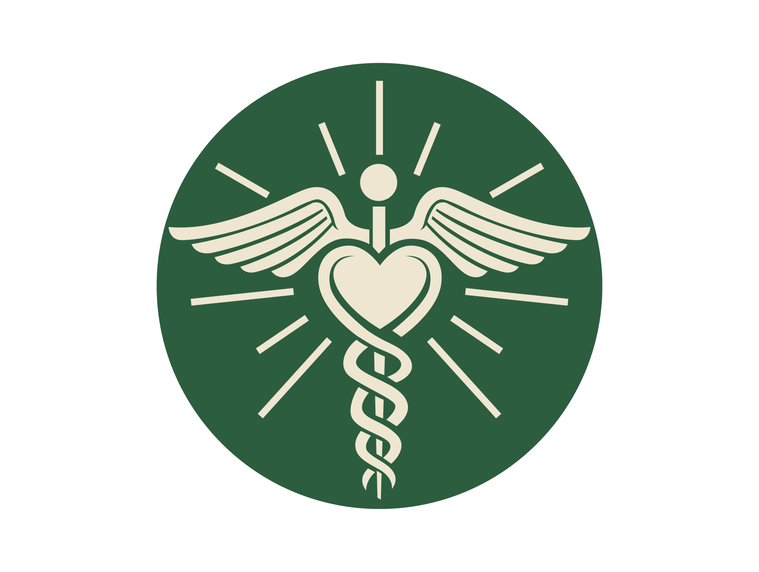 Heart and Soul Nursing logo
